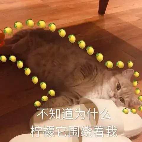 不愧是爷爷奶奶带大的猫咪画风就是如此与众不同！