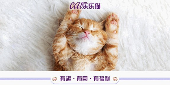 当瘫痪的猫咪遇上瘫痪的铲屎官，那就一起成为轮椅上的勇士吧